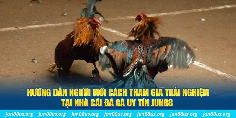 98win5 loi game dot kich ket noi may chu that bai