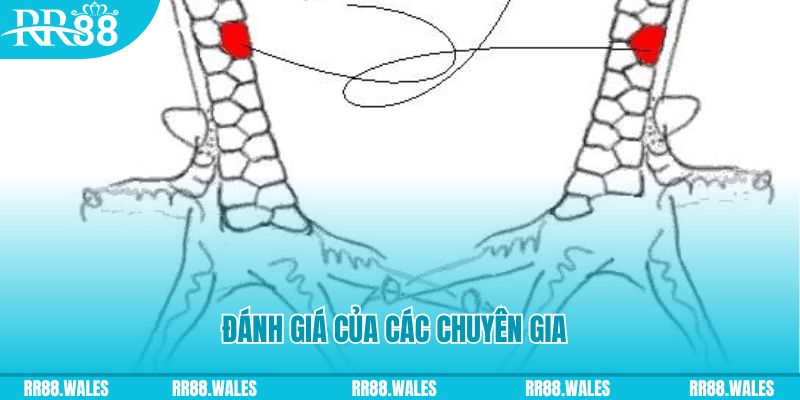 98win5 V8 Game Bài 3d