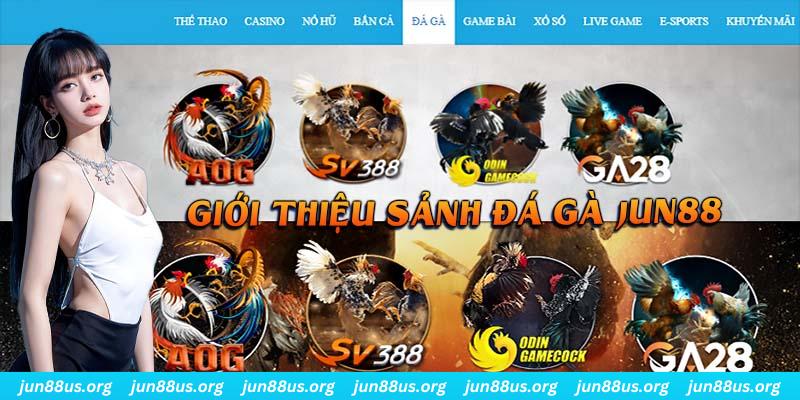 98win5 đá gà trực tiếp bình luận viên