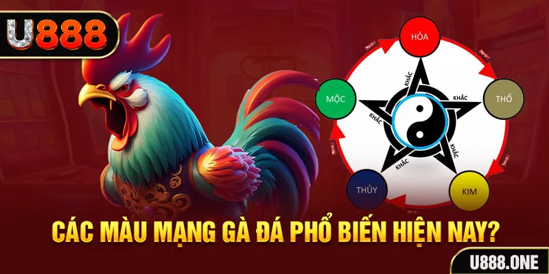 98win5 FTG Điện Tử