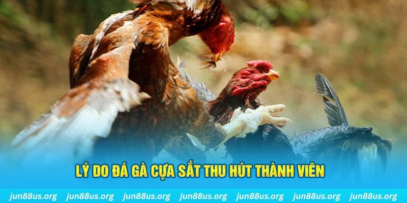 98win5 chiếm slot là gì