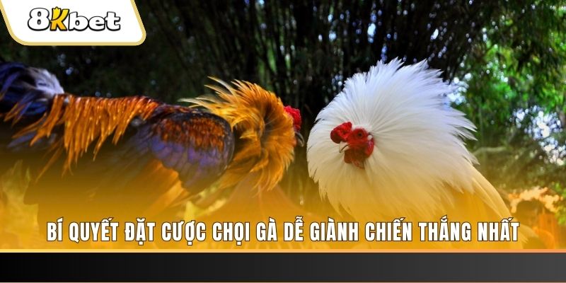 98win5 xổ số thứ hai hàng tuần