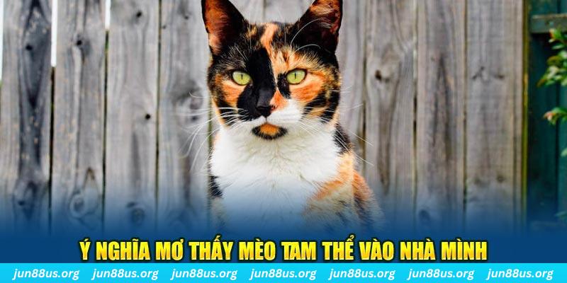 98win5 RTG Bắn cá