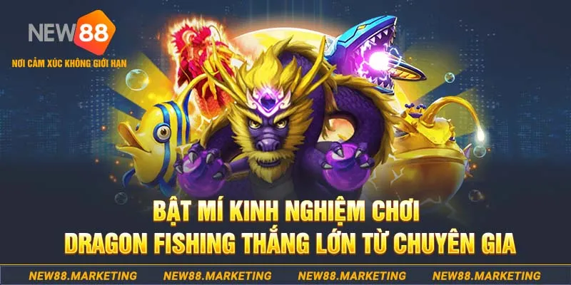 98win5 đăng nhập nổ hũ live