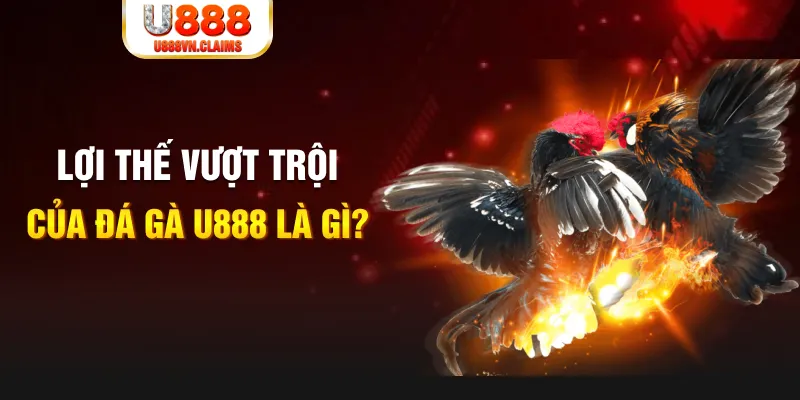 98win5 168G Điện Tử