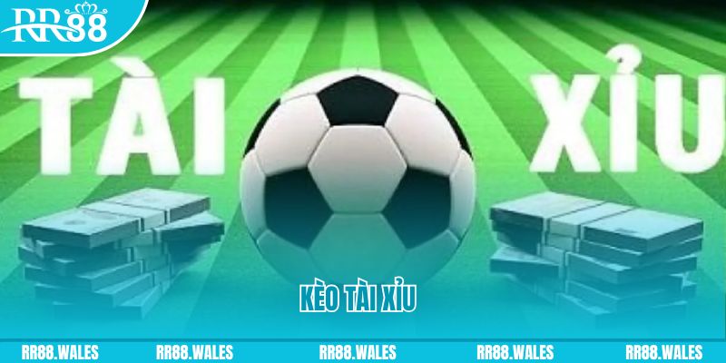 98win5 Giành Chủ Bull Bull